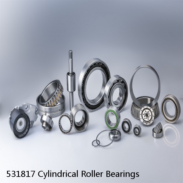 531817 Cylindrical Roller Bearings