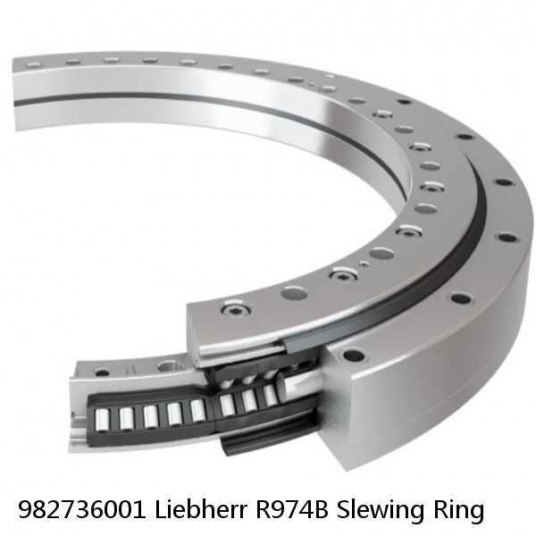 982736001 Liebherr R974B Slewing Ring