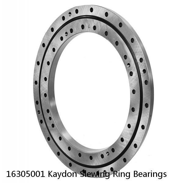 16305001 Kaydon Slewing Ring Bearings