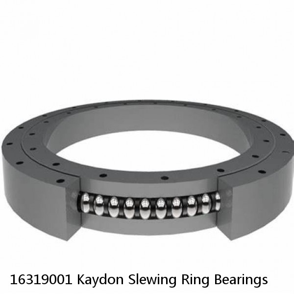 16319001 Kaydon Slewing Ring Bearings