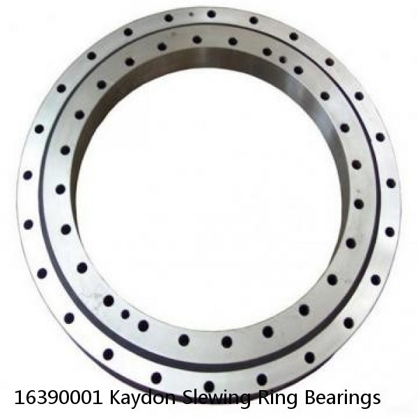 16390001 Kaydon Slewing Ring Bearings