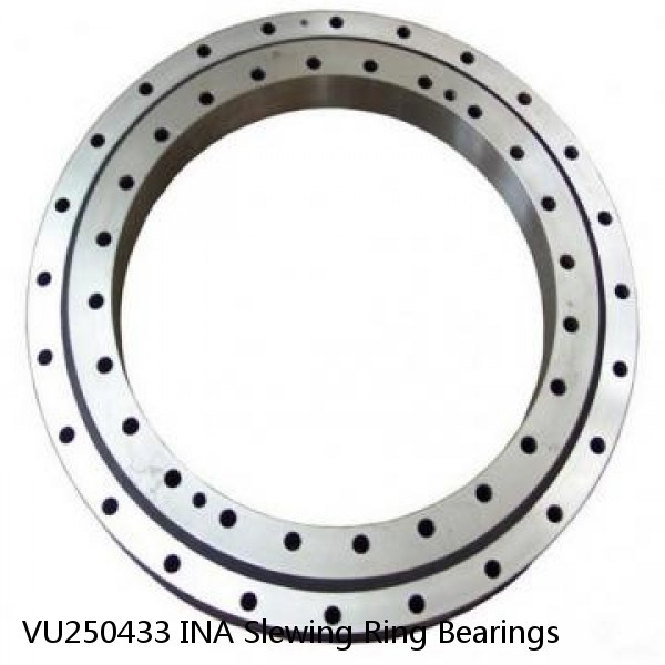 VU250433 INA Slewing Ring Bearings