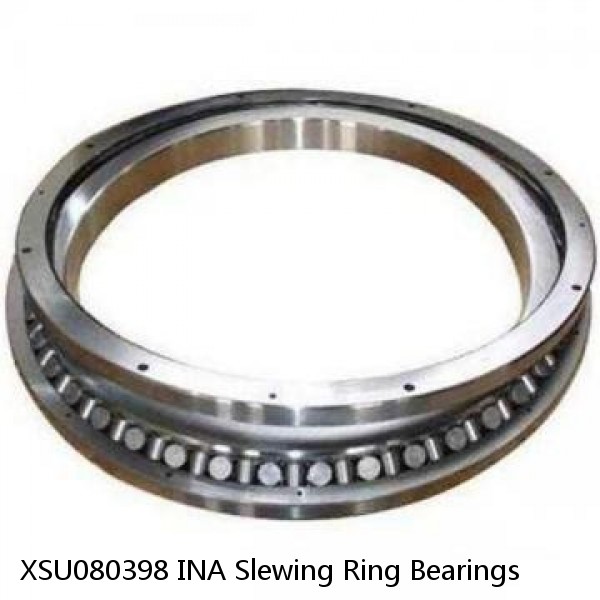 XSU080398 INA Slewing Ring Bearings