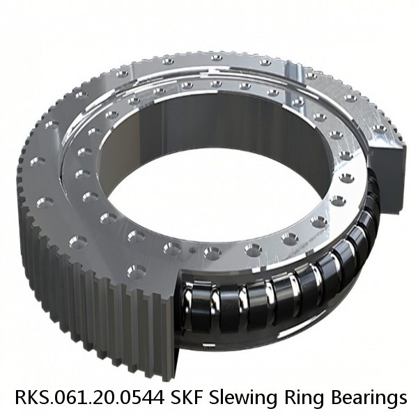 RKS.061.20.0544 SKF Slewing Ring Bearings