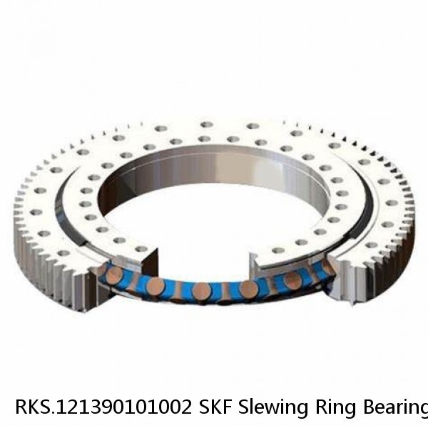 RKS.121390101002 SKF Slewing Ring Bearings