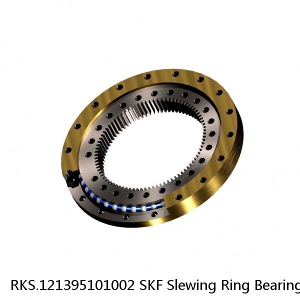 RKS.121395101002 SKF Slewing Ring Bearings