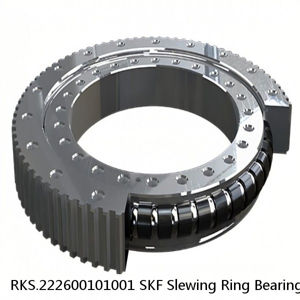 RKS.222600101001 SKF Slewing Ring Bearings