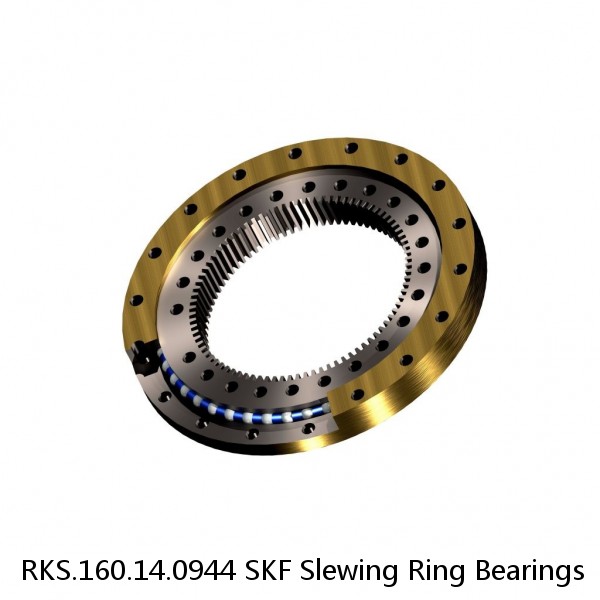 RKS.160.14.0944 SKF Slewing Ring Bearings