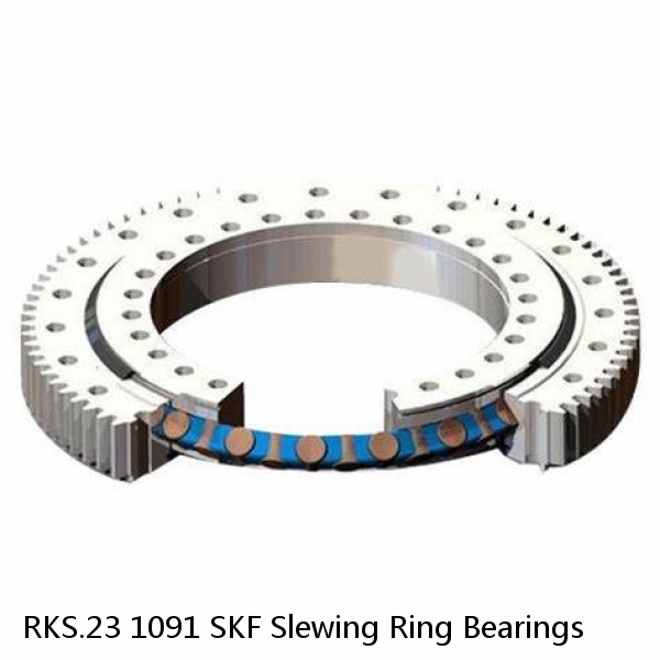 RKS.23 1091 SKF Slewing Ring Bearings