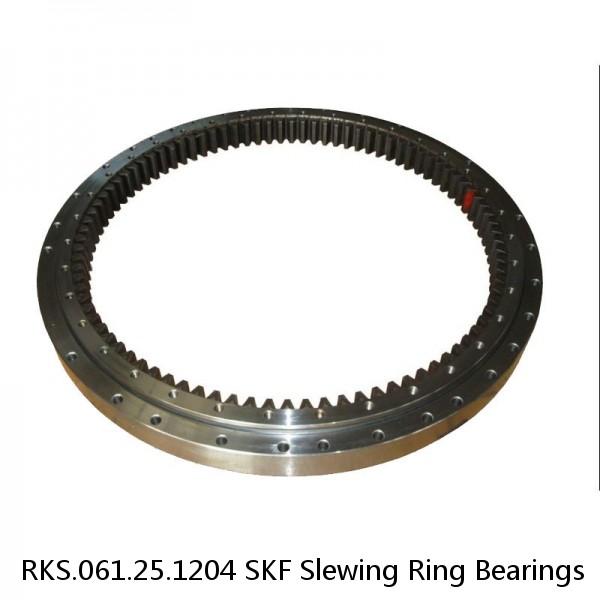 RKS.061.25.1204 SKF Slewing Ring Bearings