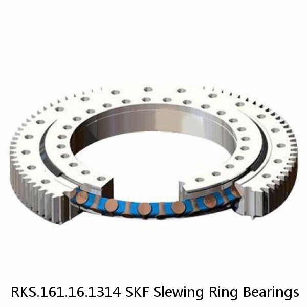 RKS.161.16.1314 SKF Slewing Ring Bearings