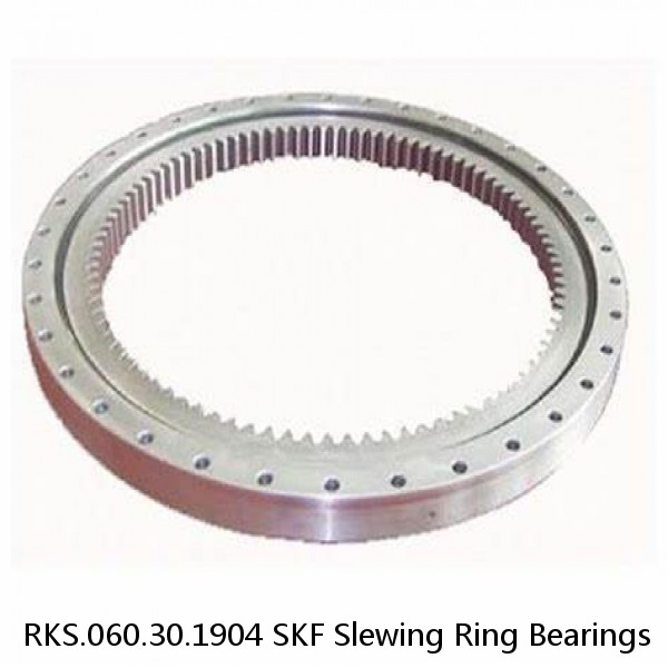 RKS.060.30.1904 SKF Slewing Ring Bearings