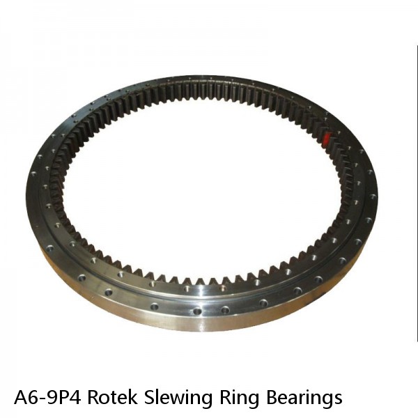 A6-9P4 Rotek Slewing Ring Bearings