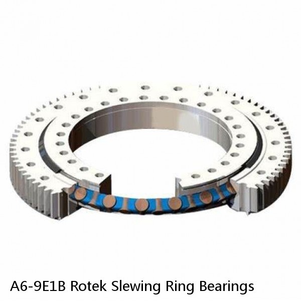 A6-9E1B Rotek Slewing Ring Bearings