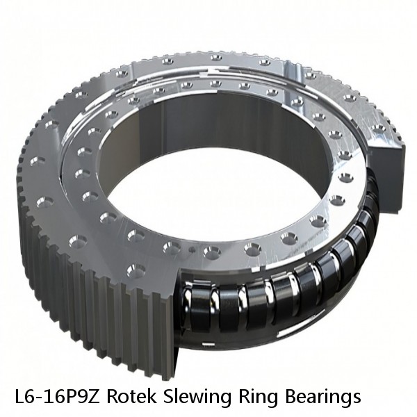 L6-16P9Z Rotek Slewing Ring Bearings