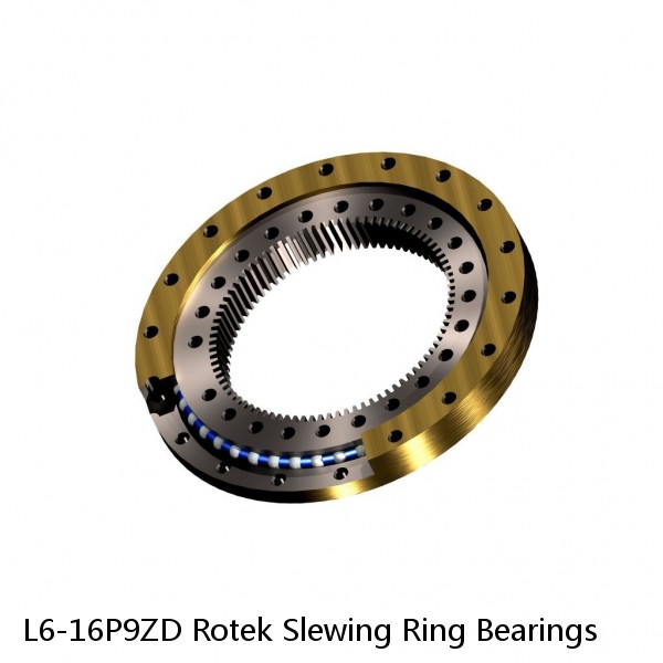 L6-16P9ZD Rotek Slewing Ring Bearings