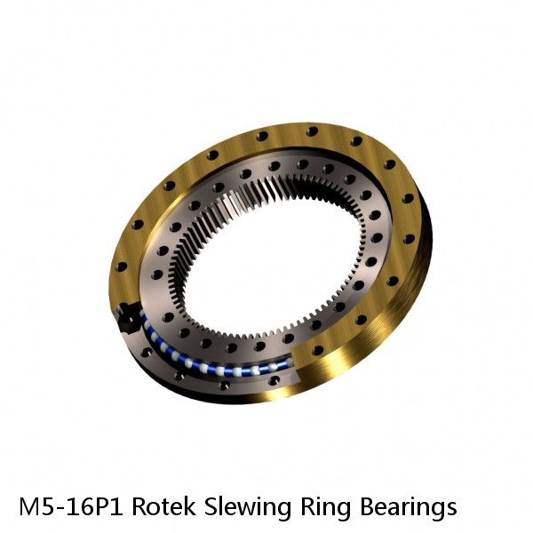 M5-16P1 Rotek Slewing Ring Bearings