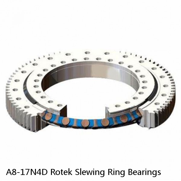 A8-17N4D Rotek Slewing Ring Bearings