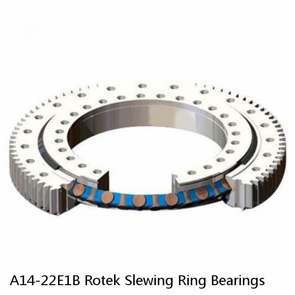 A14-22E1B Rotek Slewing Ring Bearings