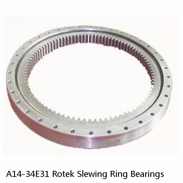 A14-34E31 Rotek Slewing Ring Bearings