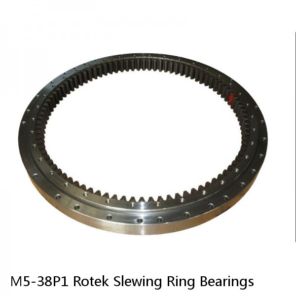 M5-38P1 Rotek Slewing Ring Bearings