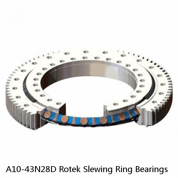 A10-43N28D Rotek Slewing Ring Bearings