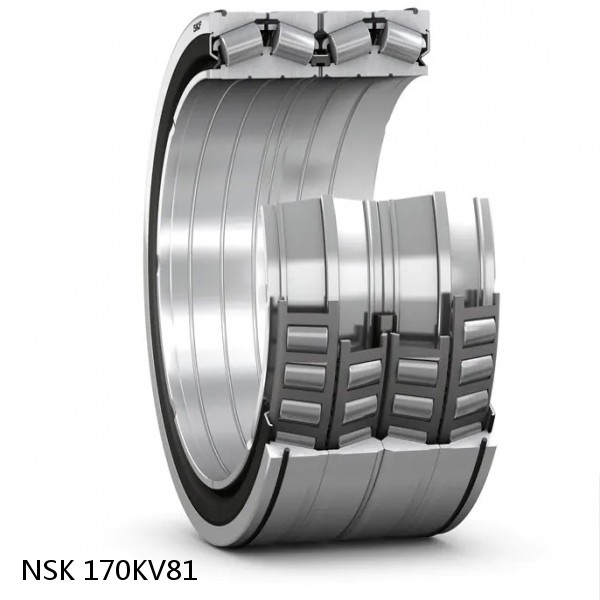 170KV81 NSK Four-Row Tapered Roller Bearing