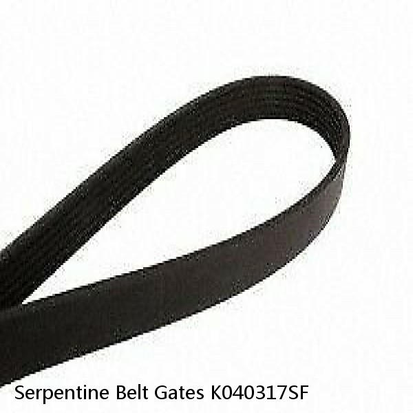 Serpentine Belt Gates K040317SF