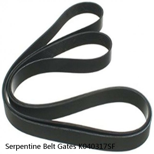 Serpentine Belt Gates K040317SF