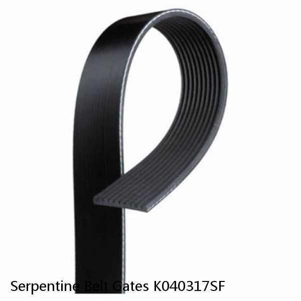 Serpentine Belt Gates K040317SF
